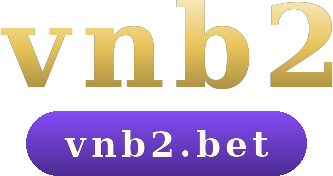 vnb2 logo